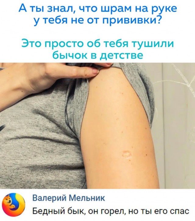 15707620.jpg