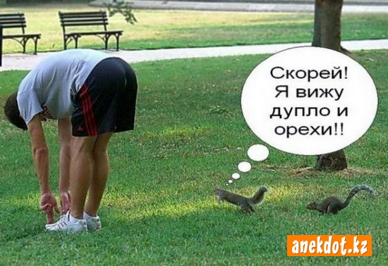 skorey-ya-vizhu-duplo-i-orehi.jpg