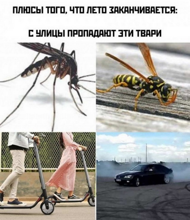 15901526.jpg