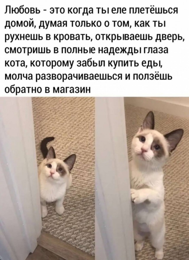 15620382.jpg