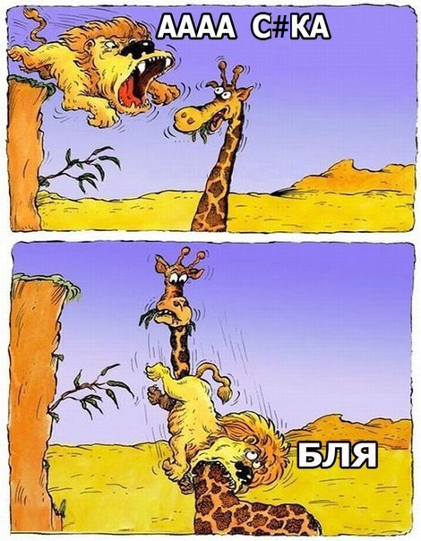VZp36DSCwJ4.jpg