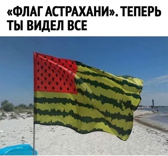 15376511.jpg