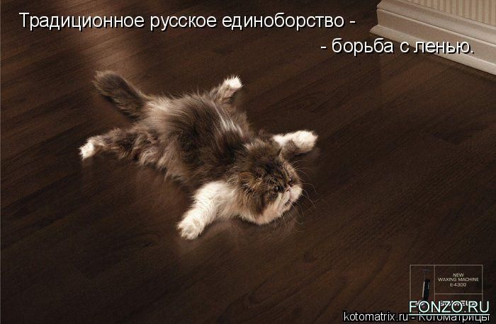 41630403_3_kotomatrix_25.jpg