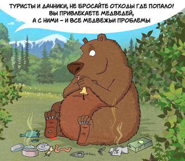 5637301.jpg