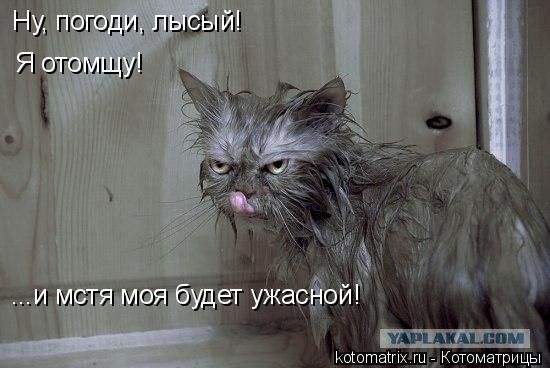 f_15116173.jpg