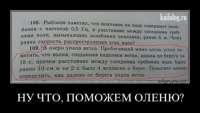 1340078325_033.jpg