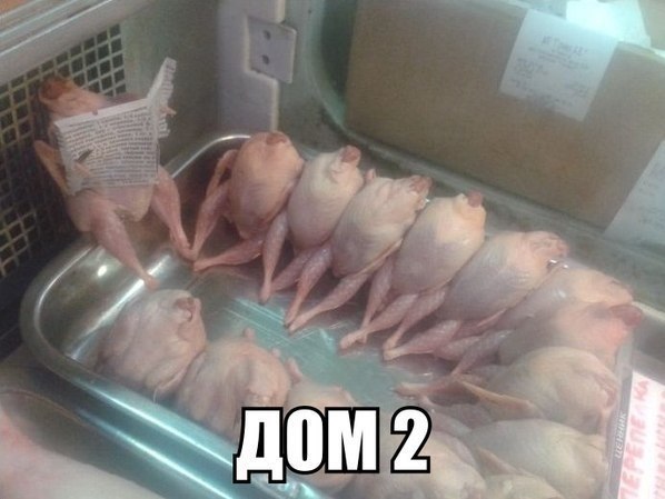 kz-QhEeWTbw.jpg