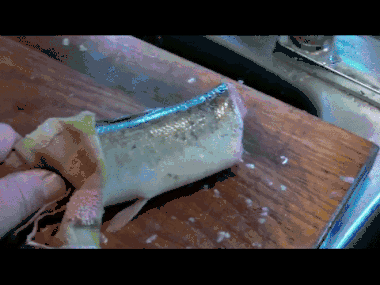 0192e48083a34d195508043be1c2f99d.gif
