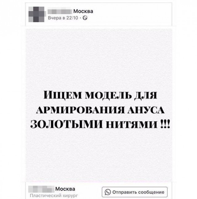 16688634.jpg