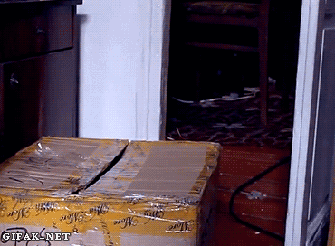 tumblr_n6yjuqRg1V1s2yegdo1_400.gif