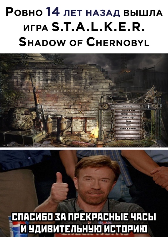 15374481.jpg