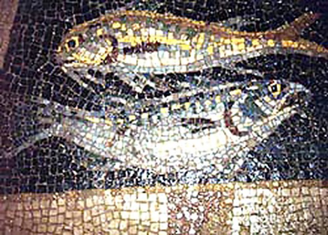 15603527.jpg