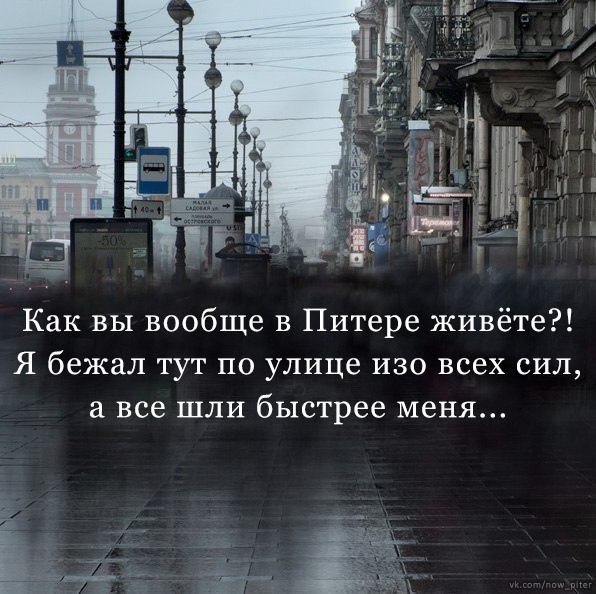 p6hrFqDTSnw.jpg