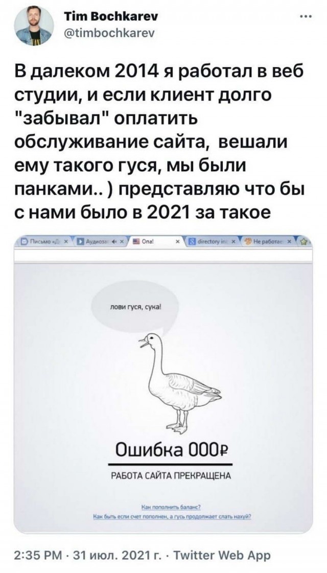15803056.jpg