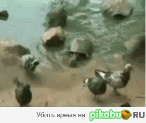 3d3.gif