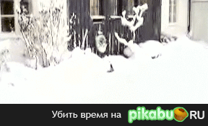 cc6.gif