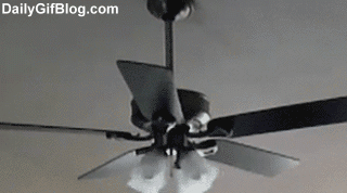 tmp.gif