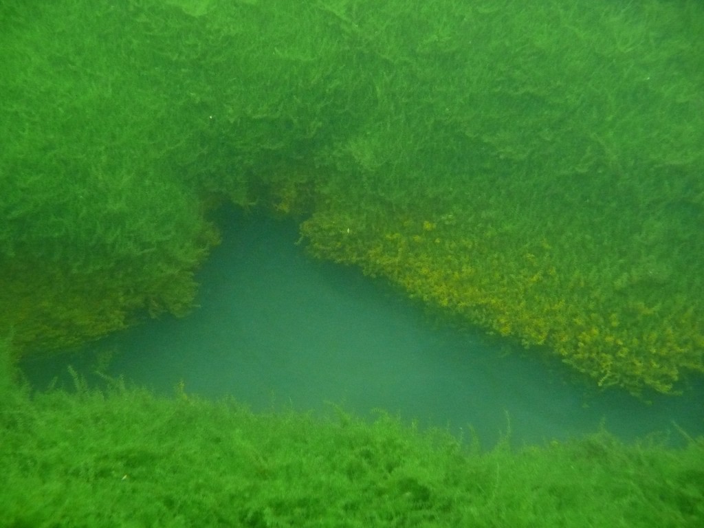319302b0b319e9c8b2f69320a269ae54.jpg