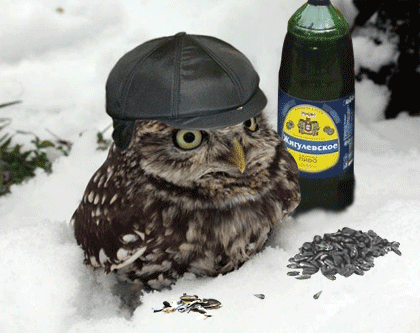 17987.gif