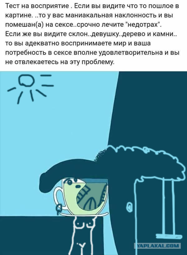 12095231.jpg