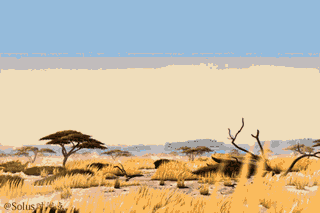 post-3-13516667881176.gif