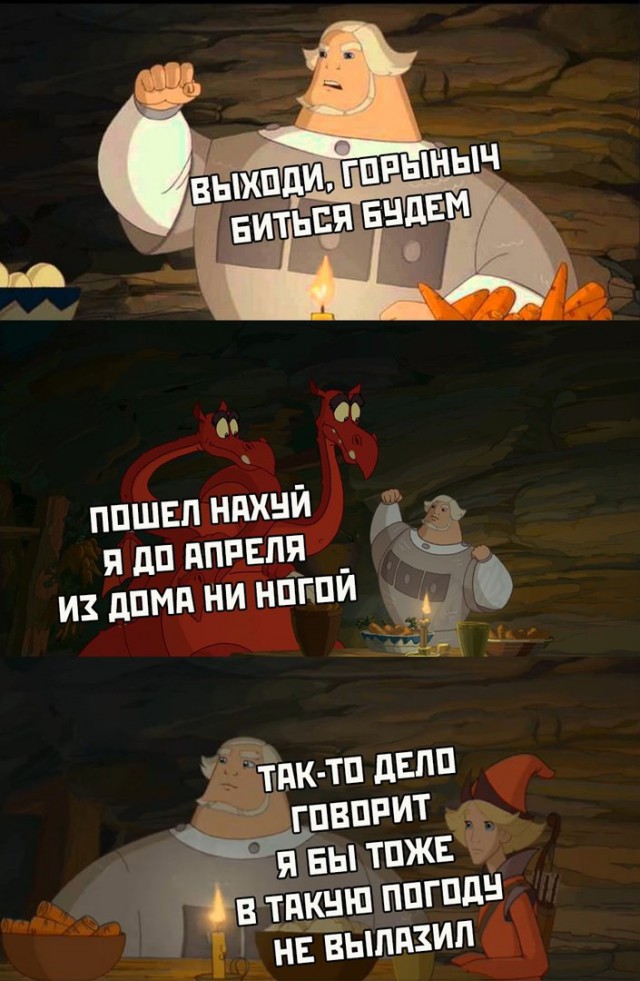 12786045.jpg