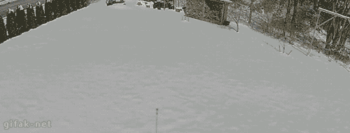 tumblr_nw3eomRrYD1s2yegdo1_500.gif
