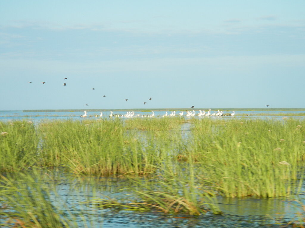 0_9f943_d4f92615_XXL.jpg