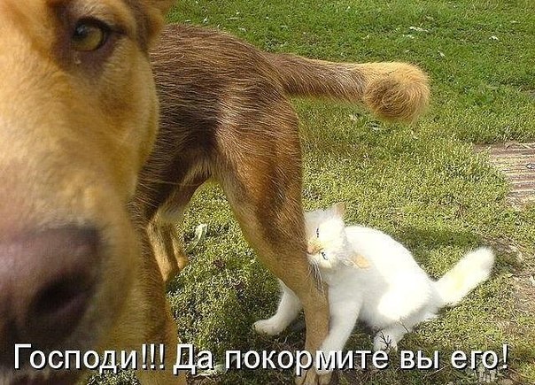 DOnxFbkbqYE.jpg