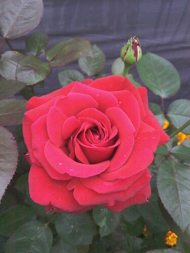 0_e5d92_e0ab3274_L.jpg
