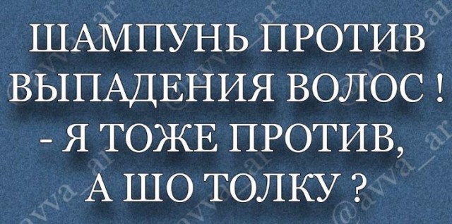 15969709.jpg
