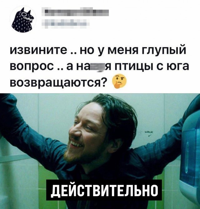 15474625.jpg