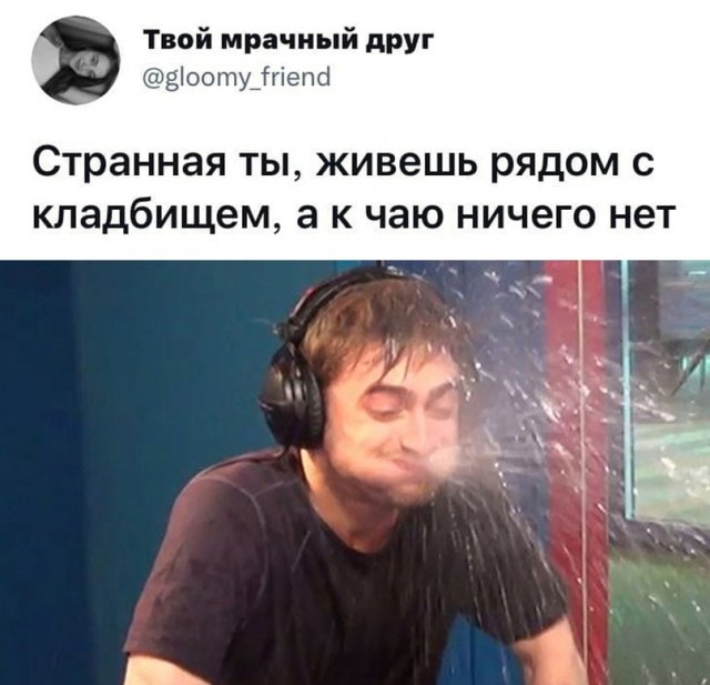15937822.jpg