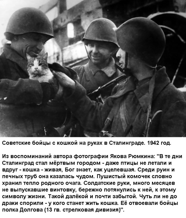 15620418.jpg