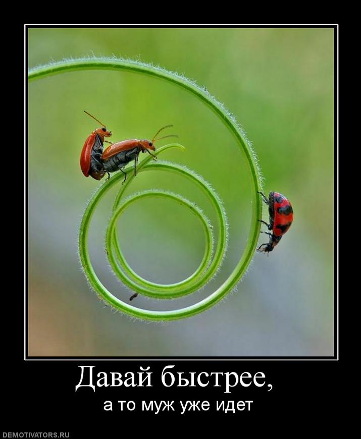 e5bb7d89c5fb3aec167257347ff3e07a.jpg