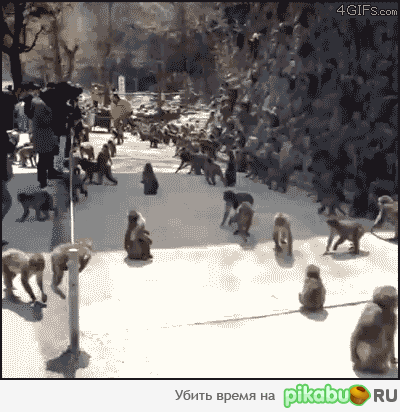 w9n.gif