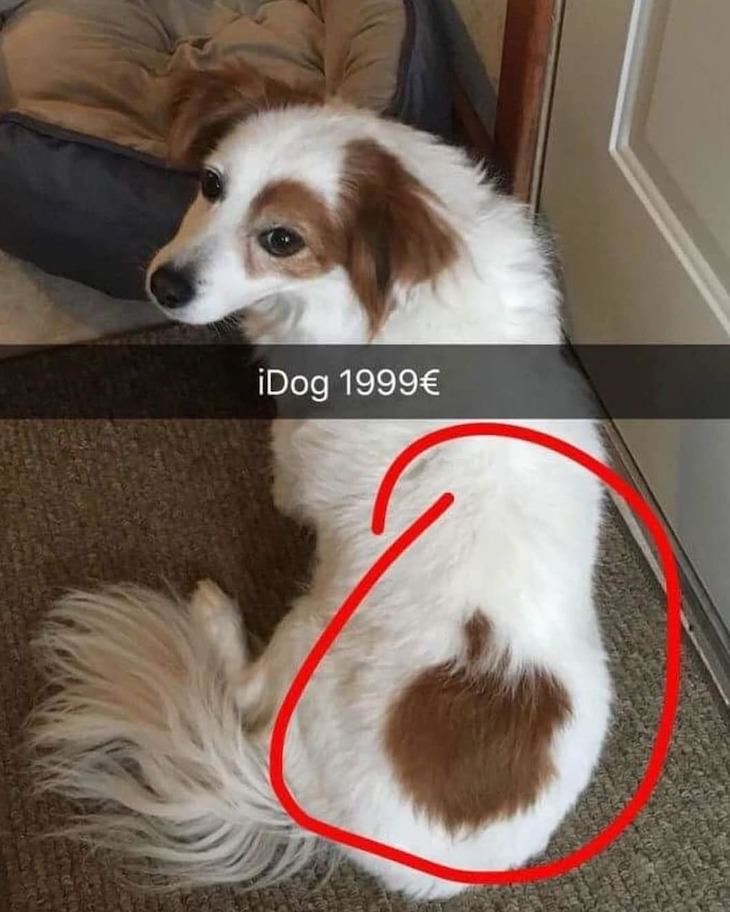 13780923.jpg