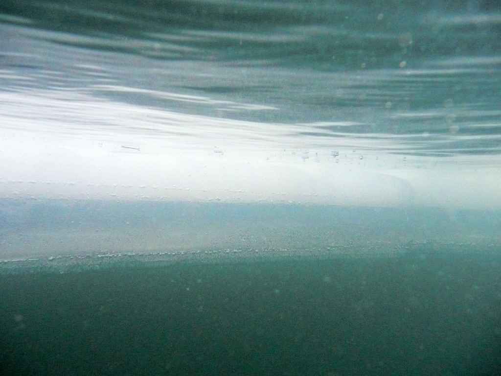s-1232.JPG