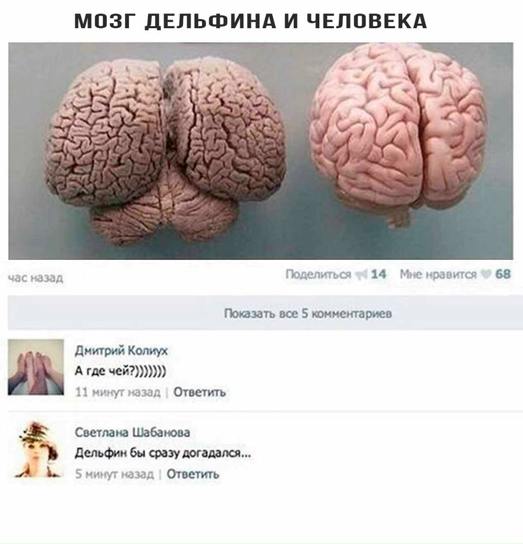 dh4PVDyc6BQ.jpg