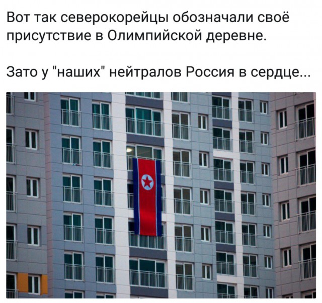 11013841.jpg