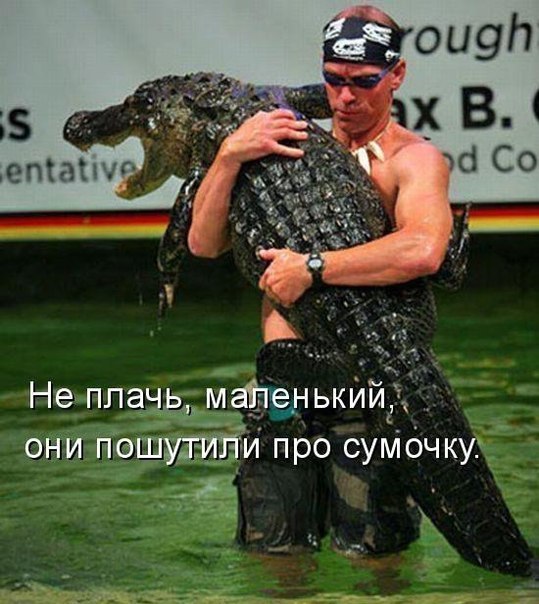 x_a9f73bf8.jpg
