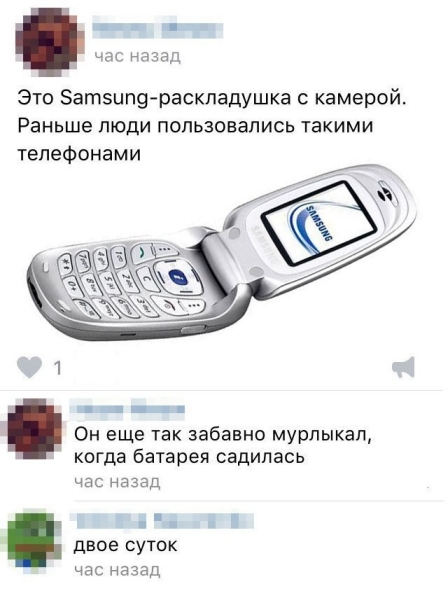 8877308.jpg