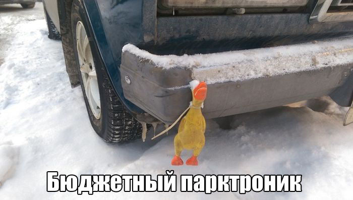 1480783606_11.jpg