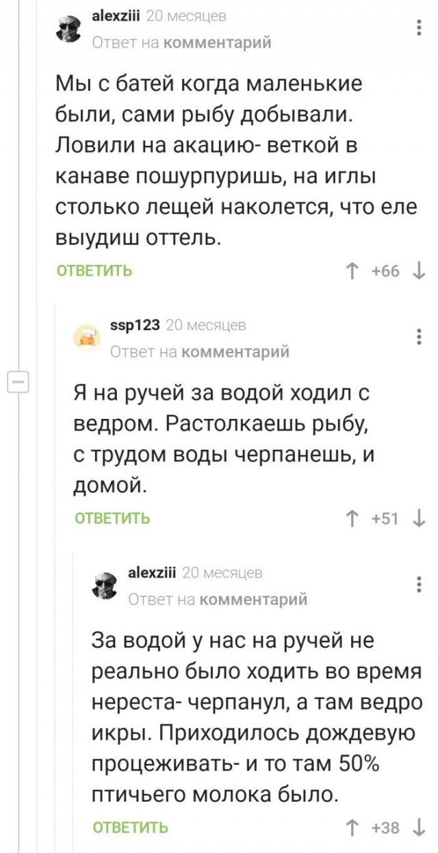16319751.jpg