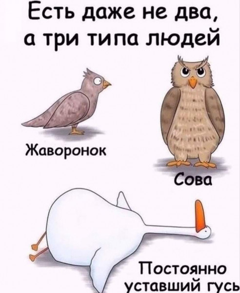 1593744585.jpg