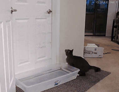 tumblr_na7fnk3QUf1s2yegdo2_400.gif