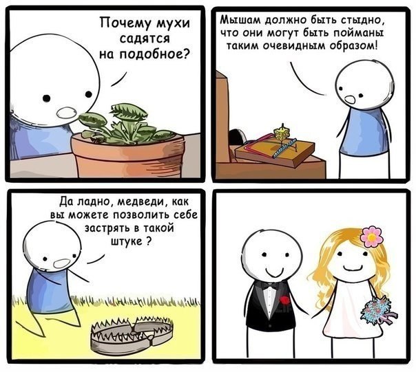 2bdCF-xc4wk.jpg