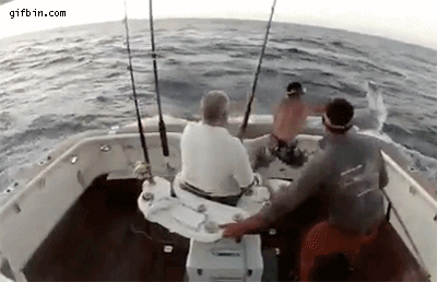 262ddfe6a384eaf1aeca865a7feb2e1e.gif
