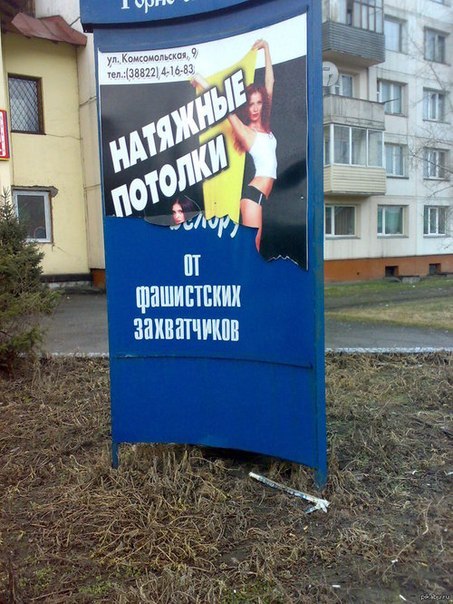 A1XwvoiSY3I.jpg
