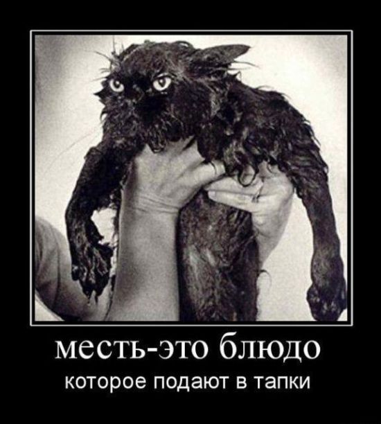 demotivatori_96.jpg